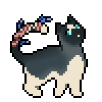 Petalyowl